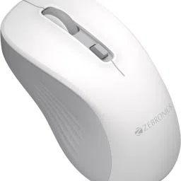 ZEBRONICS Companion 202 Wireless Standard Desktop Keyboard Compatible with Desktop, Laptop, Mac 104 Keys, Copilot AI Key, 12 Multimedia Keys, 1600 DPI, Silent, 4 Buttons image 3