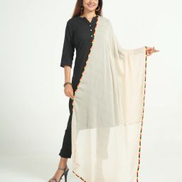 Poly Chiffon Embroidered Beige Women Dupatta-image-2