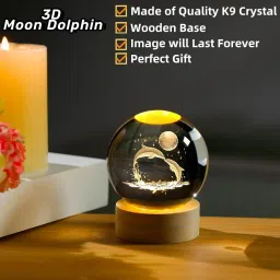 3D Dolphin 60mm Crystal Ball Night Light With LED Wooden Base Birthday Gifts Night Lamp-10