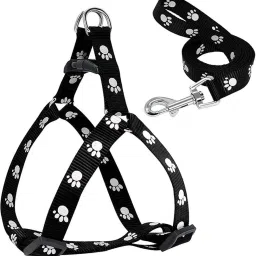 Paw Print Leash and Harness | Set for Small & Medium Puppy Bell Dog & Cat Collar Charm-26