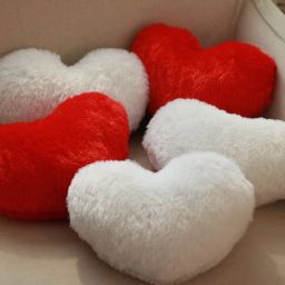Microfibre Solid Cushion Pack of 5-4