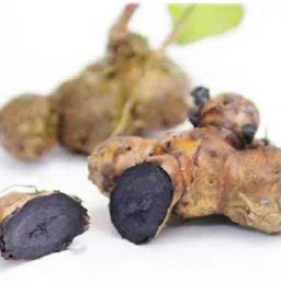 Turmeric Plant-picture-17