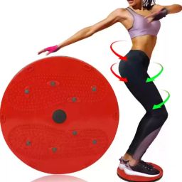 Acupressure Fat Burning Weight Loss ,Non-slip ,Slim & Fit Twister for Unisex Ab Exerciser-17