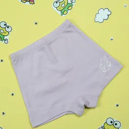 Snugkins Unisex Kids Pack Of 2 Shorts-picture-28