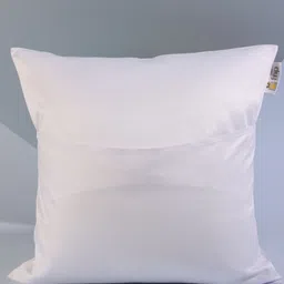 fnp White & Blue Printed Pre Filled Cushions-10