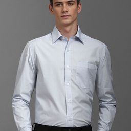 Louis Philippe Men Spread Collar Micro Checked Cotton Classic Slim Fit Formal Shirt-picture-1