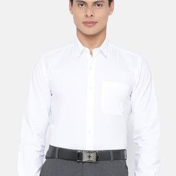 Ramraj Slim Fit Long Sleeves Pure Cotton Formal Shirt-image-96