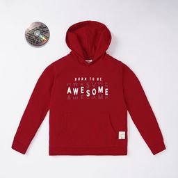 Ed-a-Mamma Boys Printed Hooded Sweatshirt-image-26
