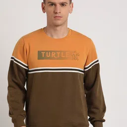 Turtle Colourblocked Round Neck Long Sleeves Pullover Sweatshirt-picture-38