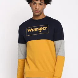 Wrangler Men Multicoloured Colourblocked Sweatshirt-picture-1