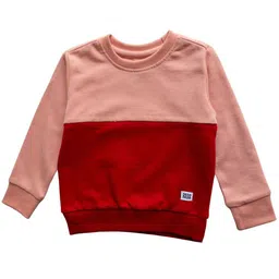 Reedoo Kids Colourblocked Pure Cotton Sweatshirt-image-82