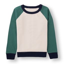 AMPED Boys Solid Raglan Sleeves Cotton Sweatshirt-image-35