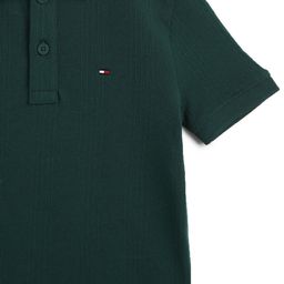 Tommy Hilfiger Boys Solid Polo Collar Cotton T-shirt-image-90