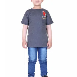 Yellow Apple Boys Solid Embroidered T-shirt-image-0