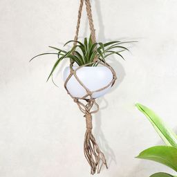 Homesake Set Of 2 White Hanging Jute Macrame Planter with White Pot-0