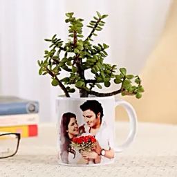 Jade Plant In Personalised Mug White-image-15