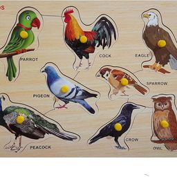 highseas Wooden Birds Puzzles for Kids Knob Puzzle Set, Educational Learning Board Toy-picture-19
