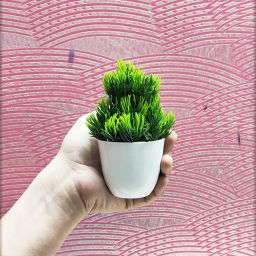 ductor Unique Decoration Combo Of 4 Different Design(H~15 Cm) Bonsai Wild Artificial Plantwith Pot image 3