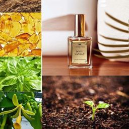 Vanilla Perfume Premium Warm Vanilla Fragrance |Irresistible Notes of Vanilla Eau de Parfum-50 ml-11