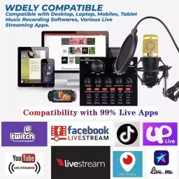 wrader Professional Studio Microphone with Sound Card Full Setup Studio Mic Recording Microphone image 4