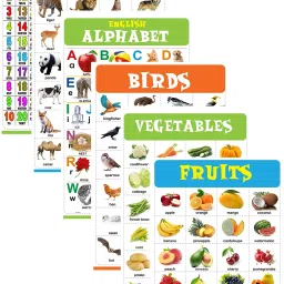 English Chart for Kids (12x18 Inch) Mega Size ( 6 Charts ) - Laminated Early Learning Education Wall Picture Chart | English Alphabet, Numbers Charts Wall Chart Photographic Paper-image-99