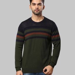 Men Striped Round Neck Dark Green Sweater-image-73