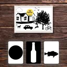 Newborn Visual Development: High Contrast Flashcard Set-22