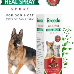 Wound heal Spray (Helps cut, burns, scrapes fighting) For Dog & Cat |Lick-Safe, Pet First Aid Kit-image-63