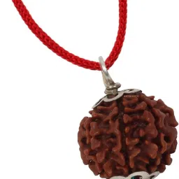Six Face Rudraksha/ 6 Mukhi Rudraksha / 6 Face Rudraksha Silver Pendant With Lab Certificate Silver Wood Pendant-image-84