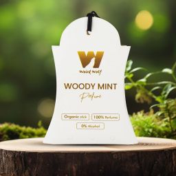 Woody Mint Car Freshener Blocks-image-0