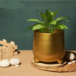 Homspurts Metal Planter With Stand-picture-22