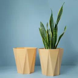 10 Inch pot (BEIGE,2 Pcs) Flower Pot for Home, Indoor & Outdoor Gamla, Gardening Plant Container Set-74