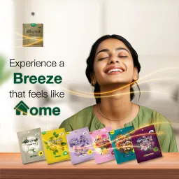 avl deo 'n' fresh Air Freshener, Assorted Fragrance,Pack of 6, Last up to 30 Days, Odour Control Diffuser image 4