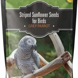 Imported Large Size Sunflower Seeds for African Gray Parrot and Exotic Birds 1 kg Dry Adult Bird Food-image-55