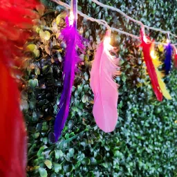 meneon 20 LEDs 4.1 m Multicolor Steady String Rice Lights image 2