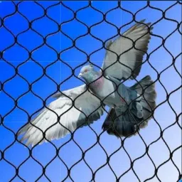 e c creation AntiBird Net / Pigeon Net 10 Ft. x 6 Ft.(60 SQ.Ft.)Nylon Net For Balcony/ Camping Net image 3