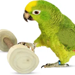Wooden Training Aid For Bird-14