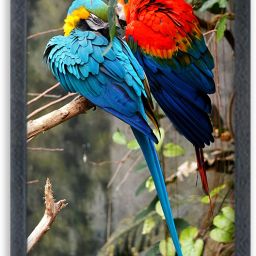 Lovely Parrot Painting For Wall Mounted Photo Frame Digital Reprint 10 inch x 14 inch Painting-image-104