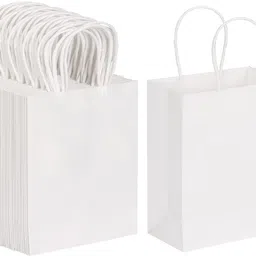 interbix nature plus pvt ltd Solid Party Bag-picture-14