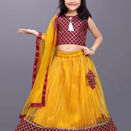 BAESD Girls Embroidered Ready to Wear Lehenga & Blouse With Dupatta-picture-51