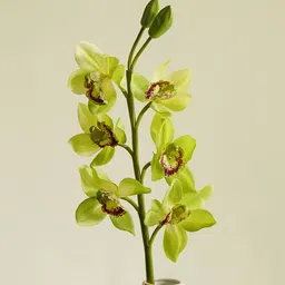 Pure Home and Living Green Faux Boat Orchid Plant Without Pot-image-77