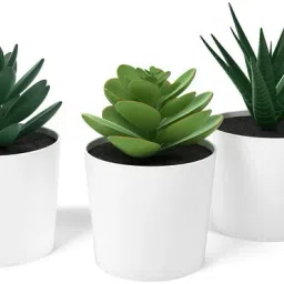 Artificial Potted Plant with Pot, in/Outdoor Succulent Artificial Plant with Pot-2