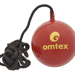 Hanging & Knocking Cricket Training Ball-image-70