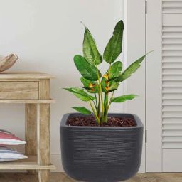 nora Square Black Polyethylene Floor Planter-picture-22