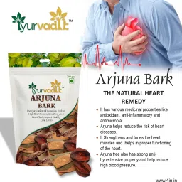 Organic Arjun ki Chaal - 200 Gm - Terminalia Arjuna Bark Seed-19