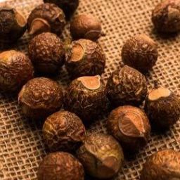 REETHA Seed-image-72