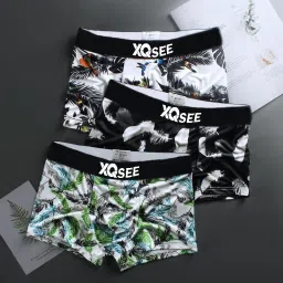Men Trunk-picture-16