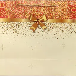 Printed Party Bag-5