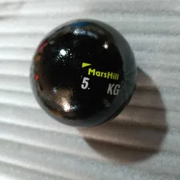5 kg Shot Put-picture-37