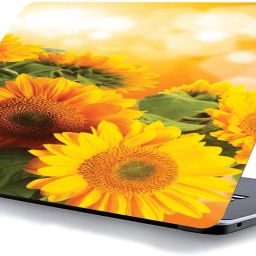 qth NATURAL LAP-5636 VINYL Reusable Laptop Skin Compatible for 15.6 inch-image-63